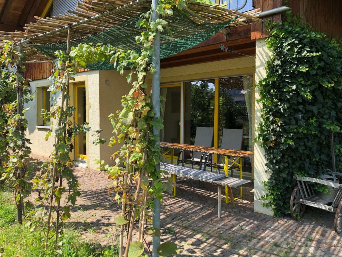 Gut Muellerleile Apartman Gengenbach Kültér fotó